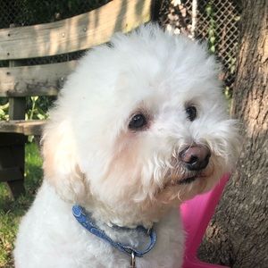 Meet your Posher, Matti